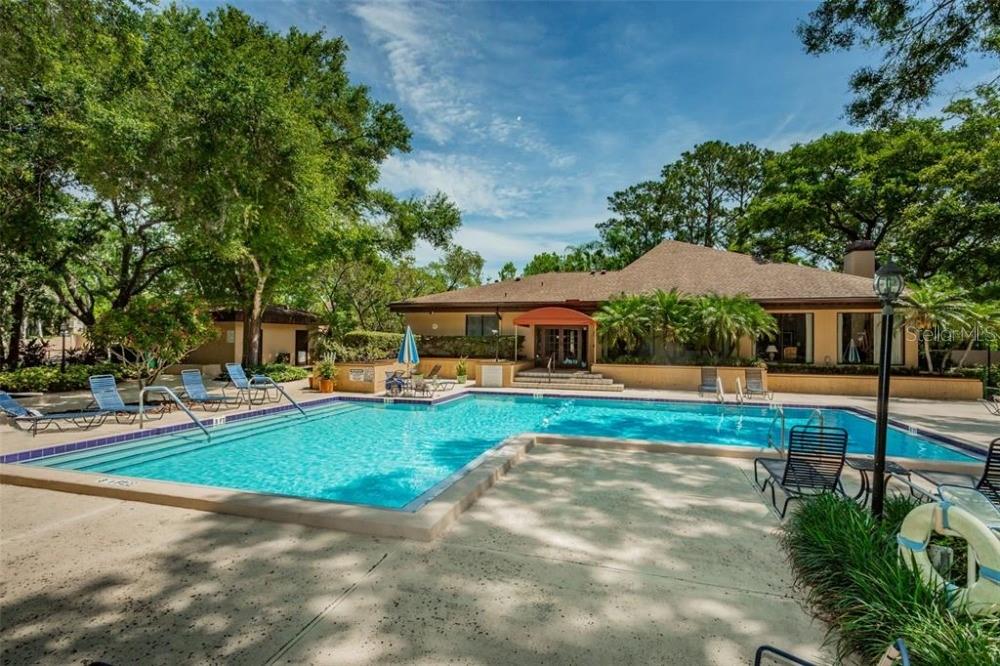 A swimming pool with lounge chairs sits in front of a one-story building with trees — 3076 EASTLAND BOULEVARD UNIT 210, CLEARWATER, FL