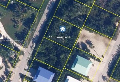 This aerial map view shows a vacant, tree-covered residential lot outlined in yellow — 113 Jamaica St, Duck FL 33050, DUCK, FL