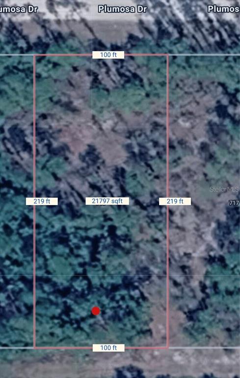 This is an aerial map showing a rectangular plot of land measuring 100 by 219 feet — 719 PLUMOSA DRIVE, INDIAN LAKE ESTATES, FL