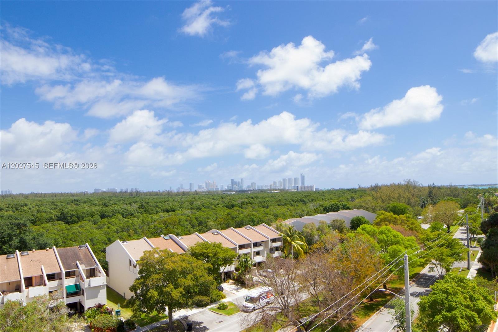 An elevated view shows townhouses, a dense forest, and a distant city skyline under clouds — NORTH MIAMI, FL