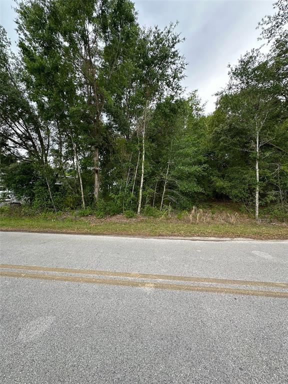 A view of a vacant, wooded lot bordering a paved road with double yellow lines — SE 86TH COURT, BELLEVIEW, FL