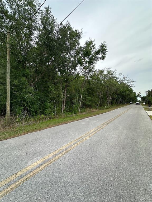 A paved road runs alongside a wooded lot with a utility pole on the left — SE 86TH COURT, BELLEVIEW, FL