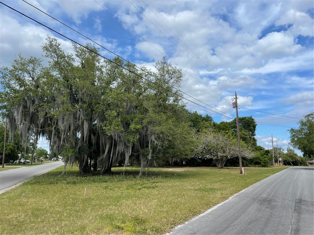 CLARA AVENUE