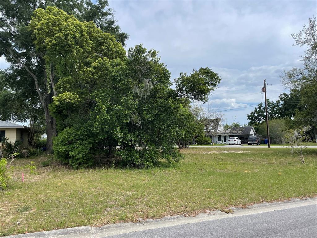 A grassy, partially wooded vacant lot sits next to a house under a cloudy sky — CLARA AVENUE, TAVARES, FL