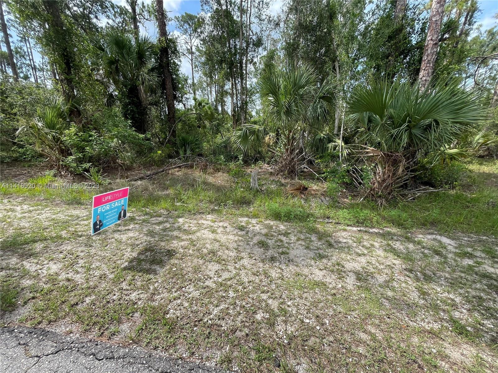 3305 E 21st ST, Lehigh Acres FL 33920