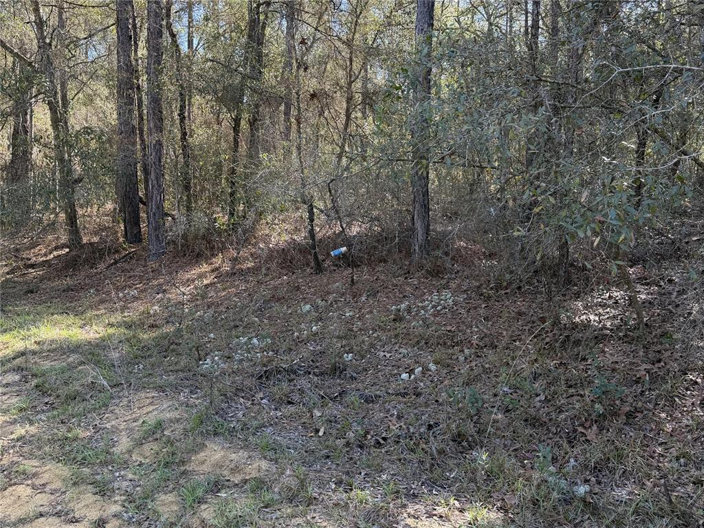 SE 7TH AVENUE, INTERLACHEN, FL — photo 2 of 3