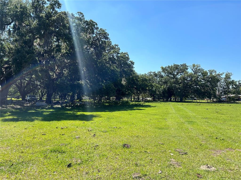 SW HWY 17, ARCADIA, FL — photo 2 of 6