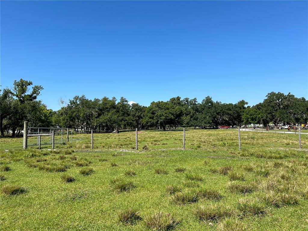 SW HWY 17, ARCADIA, FL — photo 3 of 6