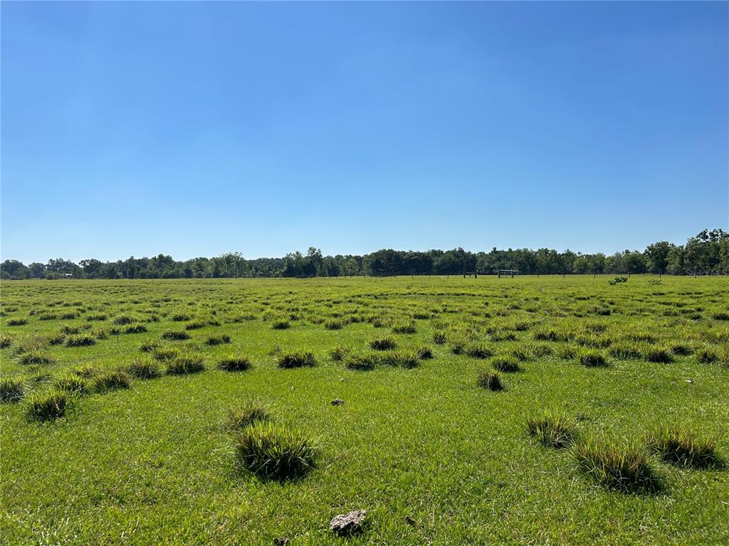 SW HWY 17, ARCADIA, FL — photo 4 of 6