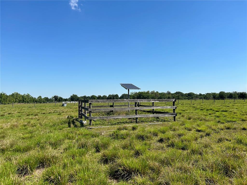 SW HWY 17, ARCADIA, FL — photo 5 of 6