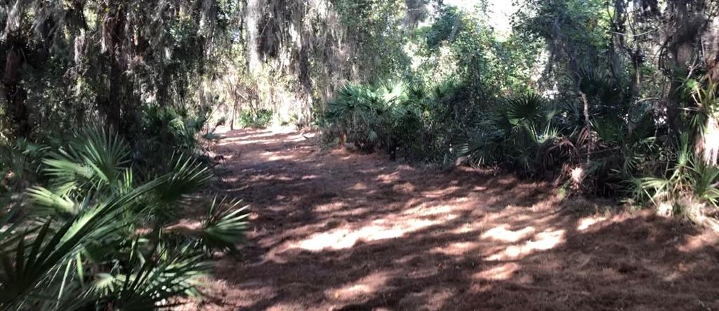 A dirt path winds through a wooded area filled with palm trees and hanging moss — LAKE REEDY BOULEVARD N, FROSTPROOF, FL