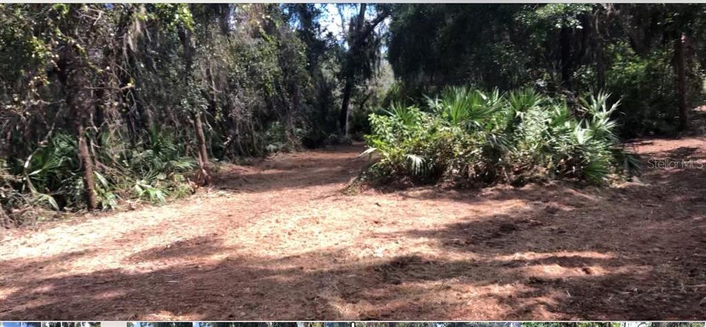 A cleared dirt path winds through a wooded area with dense trees and palmetto bushes — LAKE REEDY BOULEVARD N, FROSTPROOF, FL