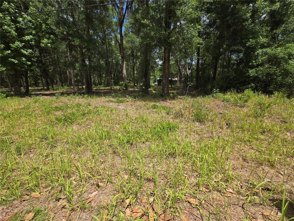 A grassy, undeveloped lot is surrounded by a dense forest of tall trees — 0 SW 15TH PLACE, OCALA, FL