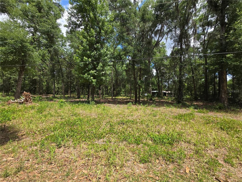A grassy, partially cleared lot is surrounded by a dense forest of tall trees — 0 SW 15TH PLACE, OCALA, FL