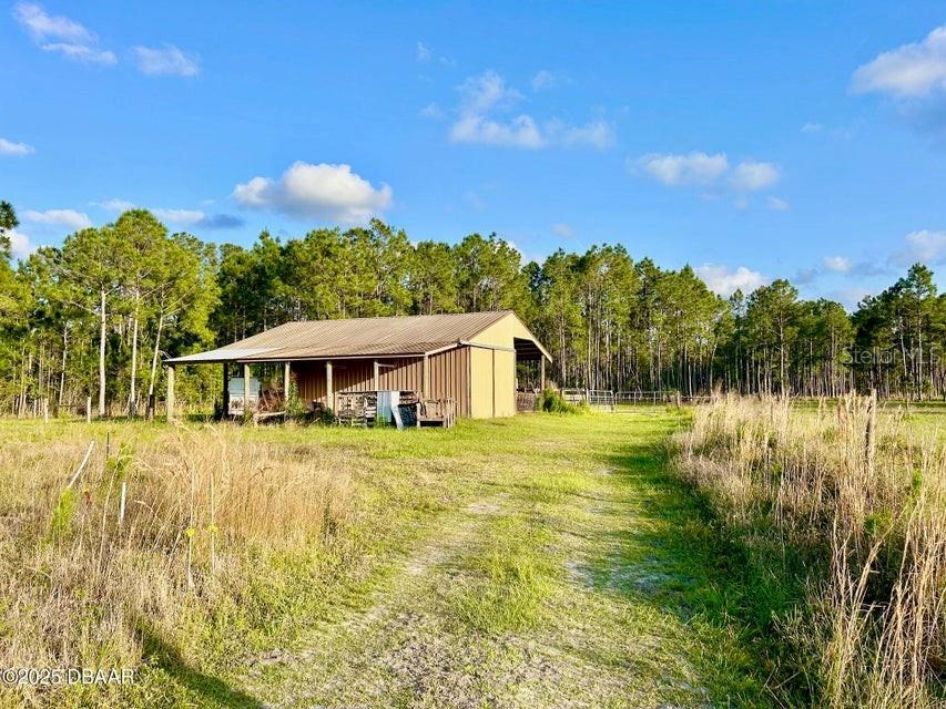 A metal-sided barn sits in a grassy field surrounded by a dense forest — 201 WASICK LANE, ORMOND BEACH, FL
