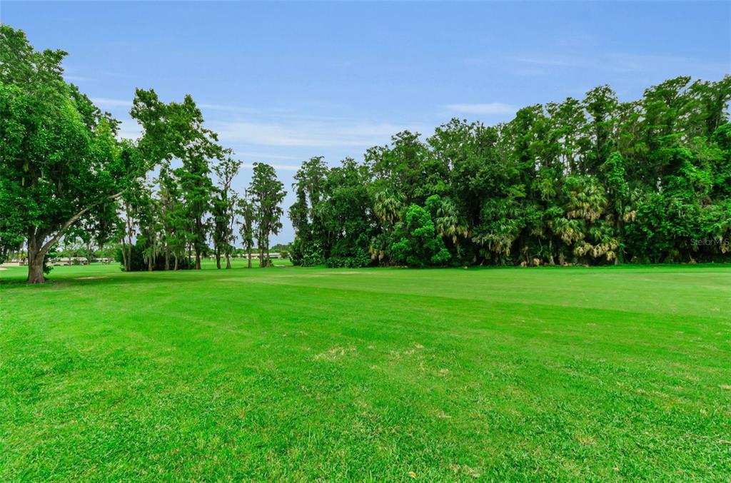 A wide, grassy lawn stretches toward a dense line of trees under a blue sky — 3684 TROPHY BOULEVARD, NEW PORT RICHEY, FL