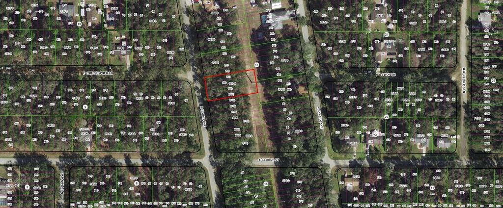 This is a satellite map view showing a rectangular plot of land outlined in red — 913 N ROOKS AVENUE, INVERNESS, FL