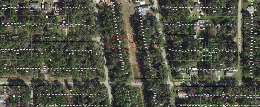 This is an aerial map showing a highlighted vacant lot within a residential neighborhood — 913 N ROOKS AVENUE, INVERNESS, FL