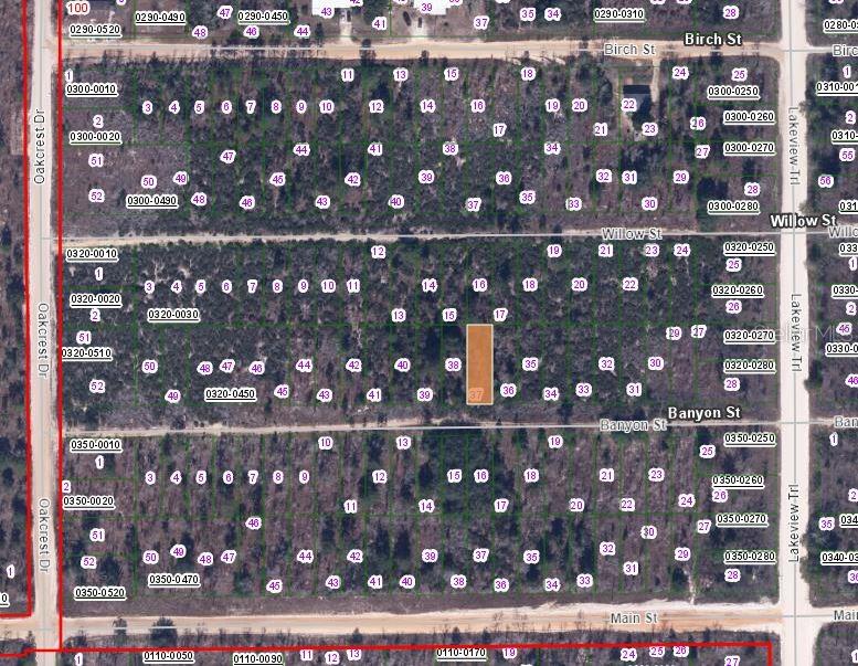 This is a map showing a grid of undeveloped residential lots in a wooded area — 00 BANVON STREET, INTERLACHEN, FL