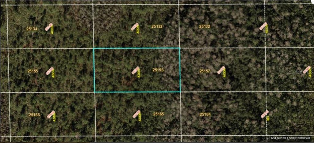 This is a map showing a highlighted rectangular plot of land surrounded by wooded lots — DILL ROAD, ORLANDO, FL