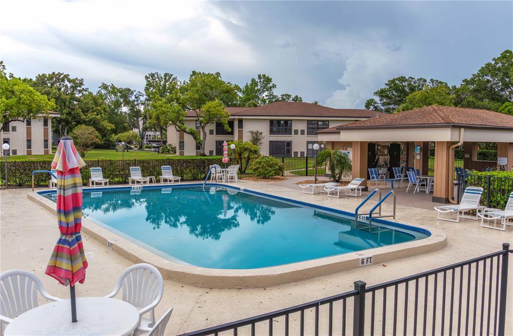 A swimming pool with a surrounding patio, lounge chairs, and a covered pavilion area — 2700 NEBRASKA AVENUE UNIT 2-205, PALM HARBOR, FL
