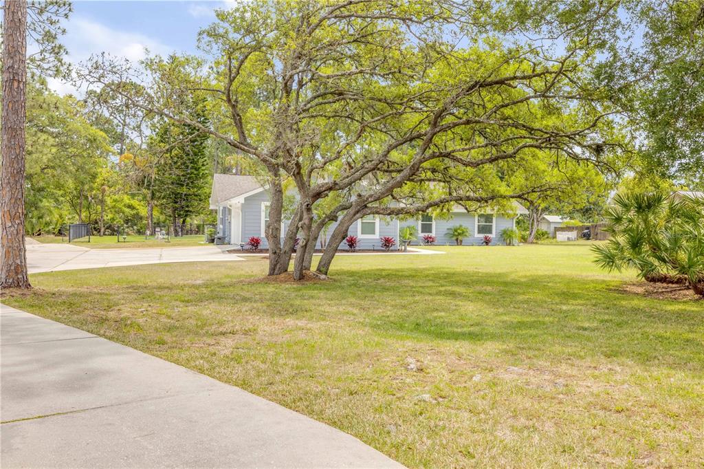 A light blue house sits behind a large tree in a grassy front yard — 106 PINE TREE DRIVE, ORMOND BEACH, FL