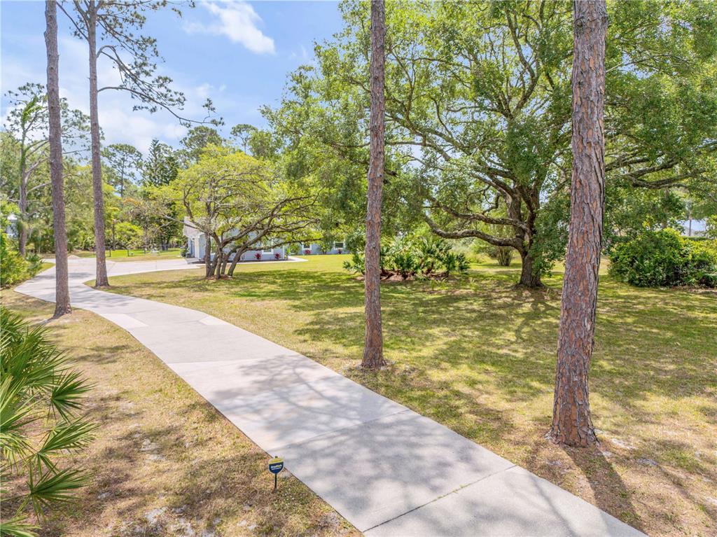 A concrete driveway winds through a grassy yard with mature trees toward a house — 106 PINE TREE DRIVE, ORMOND BEACH, FL