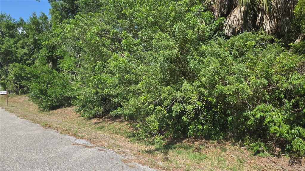 ROLLA ROAD, VENICE, FL — photo 3 of 6