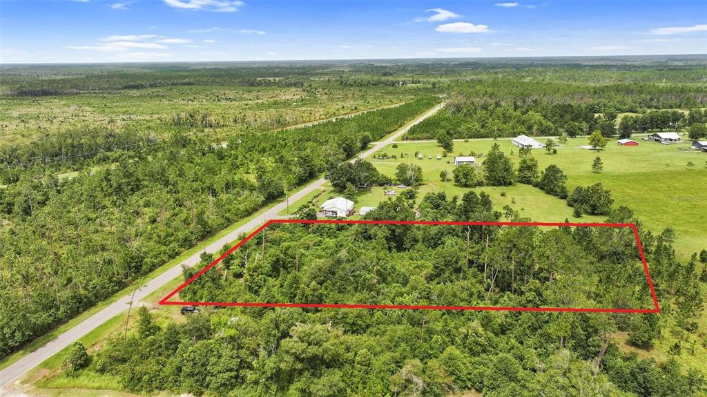 An aerial view shows a rectangular, wooded lot outlined in red next to a rural road — 0 OLD PANAMA HIGHWAY, WEWAHITCHKA, FL