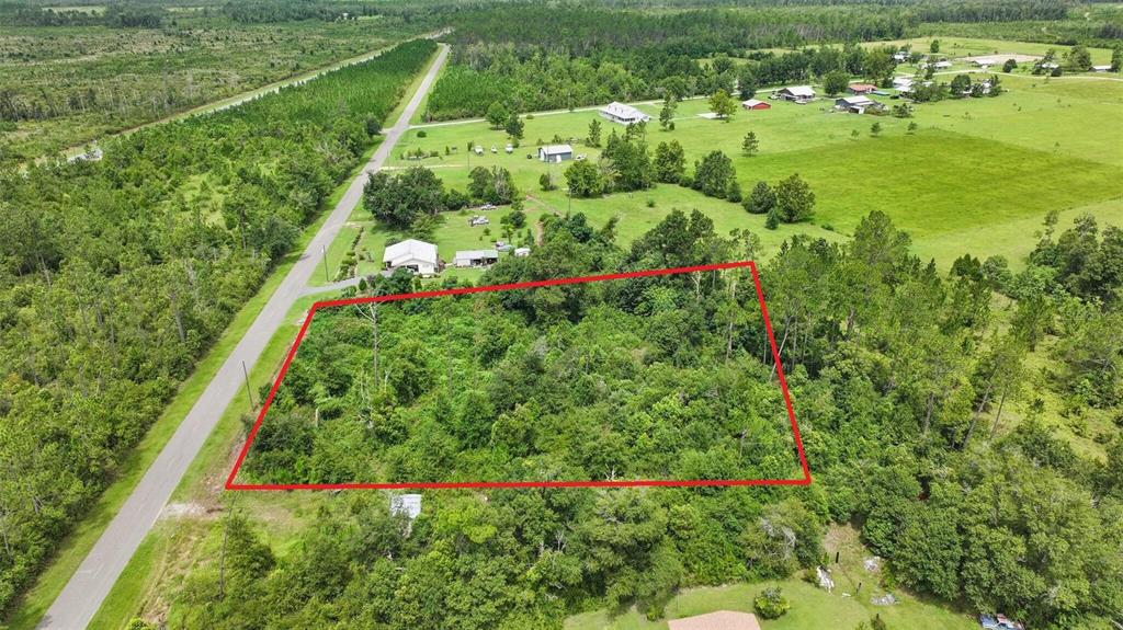 An aerial view shows a rectangular, wooded plot of land outlined in red near a road — 0 OLD PANAMA HIGHWAY, WEWAHITCHKA, FL
