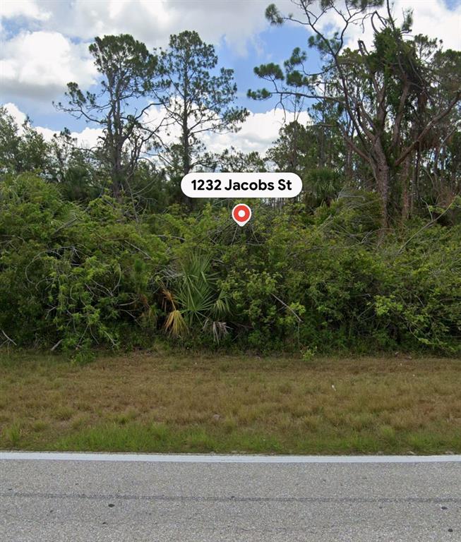 A vacant, heavily wooded residential lot is viewed from the adjacent paved road — 1232 JACOBS STREET, PORT CHARLOTTE, FL