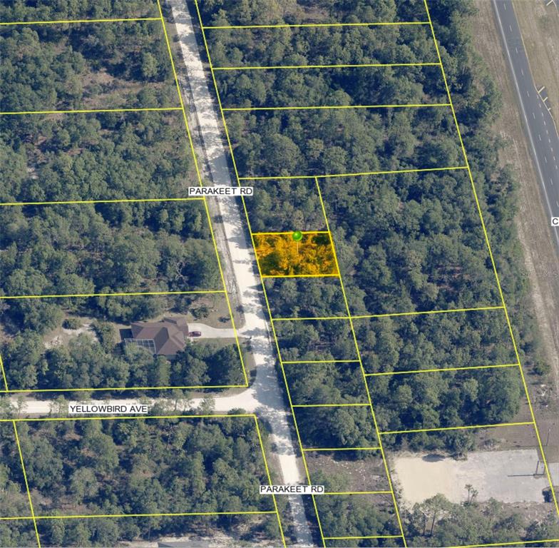 This aerial map shows a highlighted vacant lot located along a dirt road — 18170 PARAKEET ROAD, WEEKI WACHEE, FL