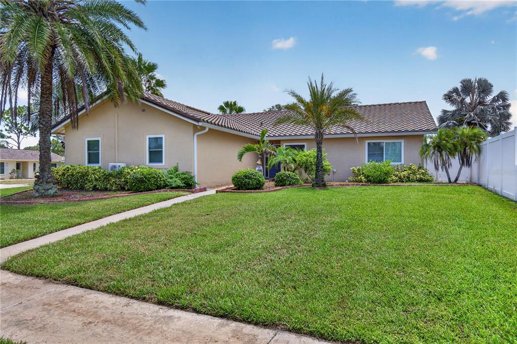 A single-story house with a tan exterior, tile roof, and a front lawn with palm trees — 4831 BLUE JAY CIRCLE, PALM HARBOR, FL