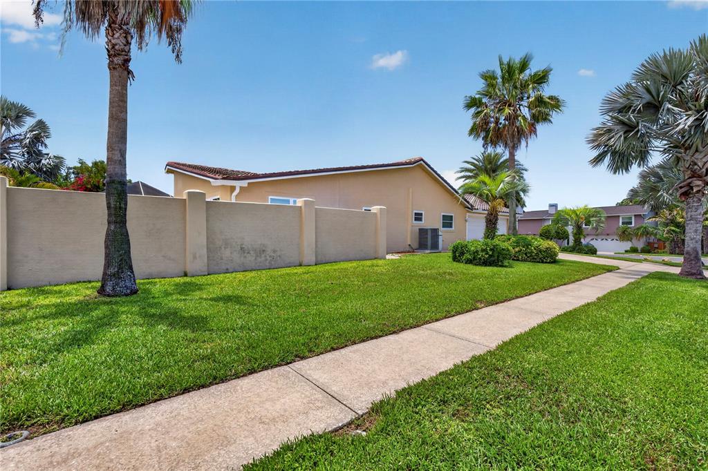 A tan house with a privacy wall and palm trees sits behind a concrete sidewalk — 4831 BLUE JAY CIRCLE, PALM HARBOR, FL