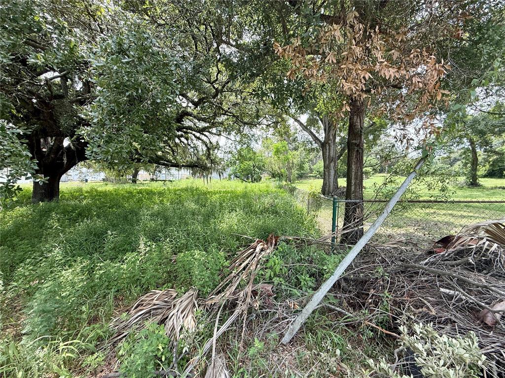 A grassy, overgrown lot features large trees and a chain-link fence — 4621 E LAKE AVE, TAMPA, FL