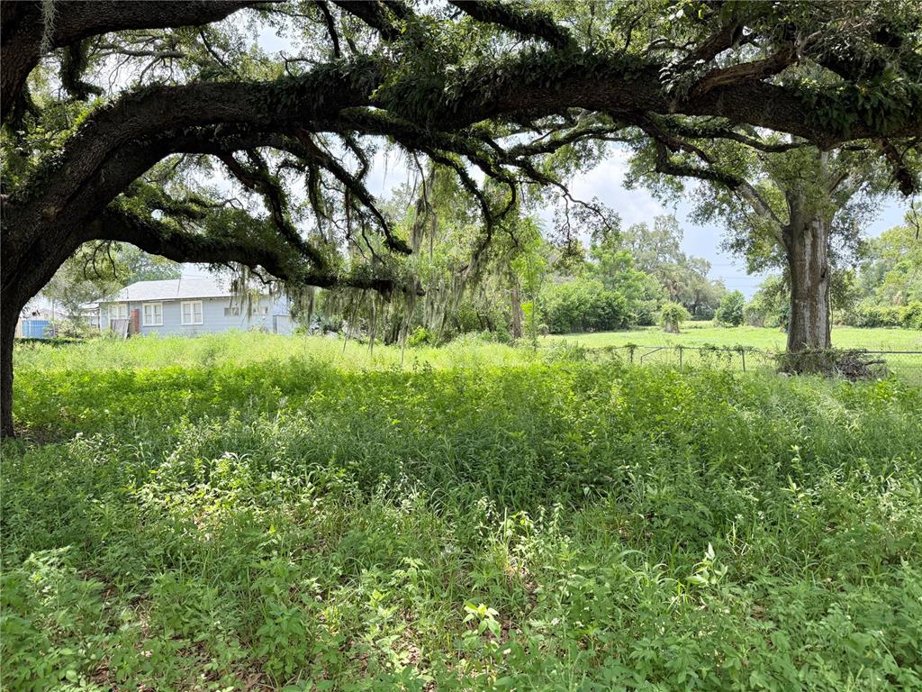 A large, moss-draped oak tree shades a grassy, overgrown lot next to a small house — 4621 E LAKE AVE, TAMPA, FL