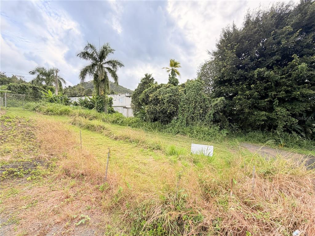 A vacant, gravel-covered lot sits adjacent to a large tree and a residential structure — Cta. Abajo BO. BARRAZAS, CAROLINA, PR