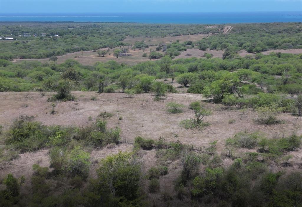 An aerial view shows a vast, dry, grassy landscape with scattered trees overlooking the ocean — Km 12.1 PR 303, CABO ROJO, PR