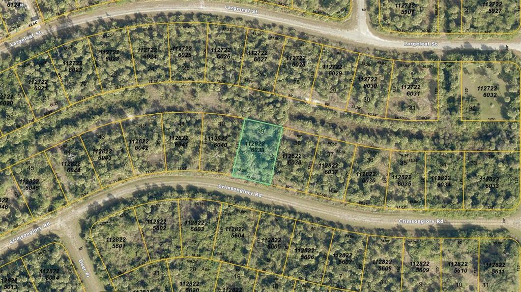 This is a map showing a residential lot highlighted in green among wooded parcels — CRIMSONGLORY ROAD, NORTH PORT, FL