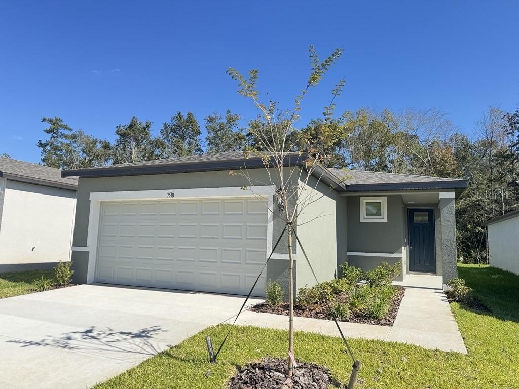 7518 MIA VINE DRIVE