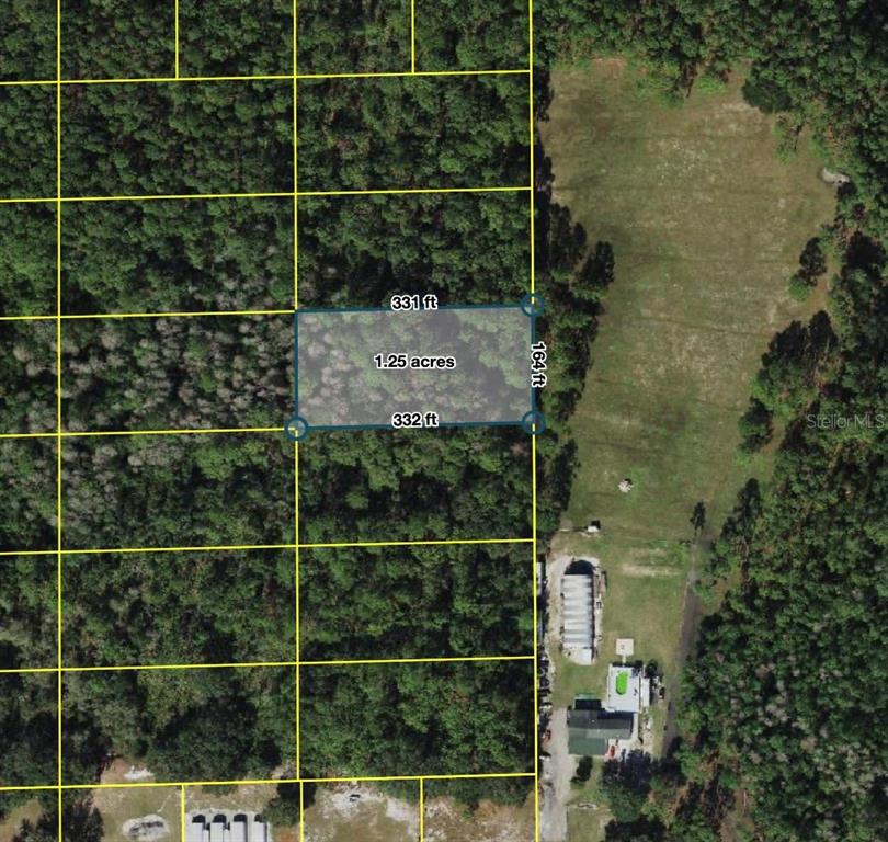 An aerial map shows a rectangular 1.25-acre wooded lot with property dimensions overlaid — POLK CITY, POLK CITY, FL