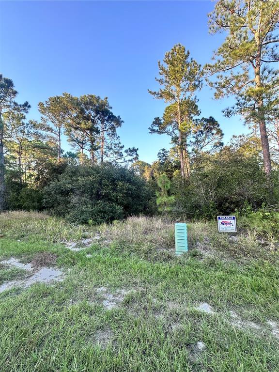 A vacant, wooded lot features a green utility box and a for sale sign — 1566 MARLIN DRIVE, KISSIMMEE, FL