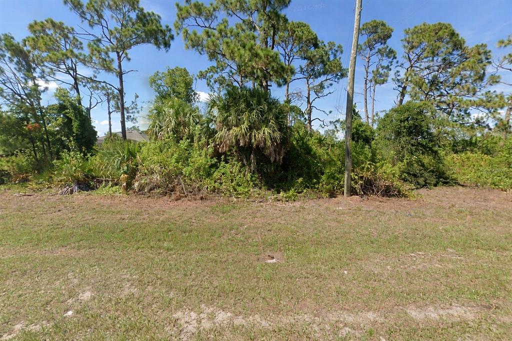 A grassy lot features a dense cluster of palm trees and shrubs under a blue sky — 13372 KEYSTONE BOULEVARD, PORT CHARLOTTE, FL
