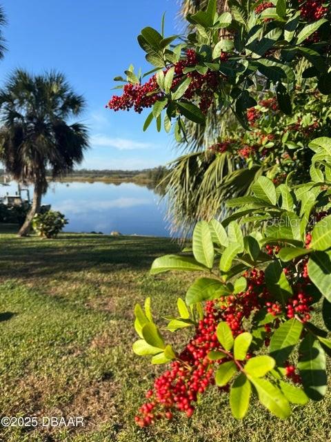 3780 JOHN ANDERSON DRIVE, ORMOND BEACH, FL — photo 2 of 15