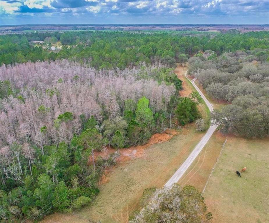 DUBOISE DRIVE, CLERMONT, FL — photo 3 of 19