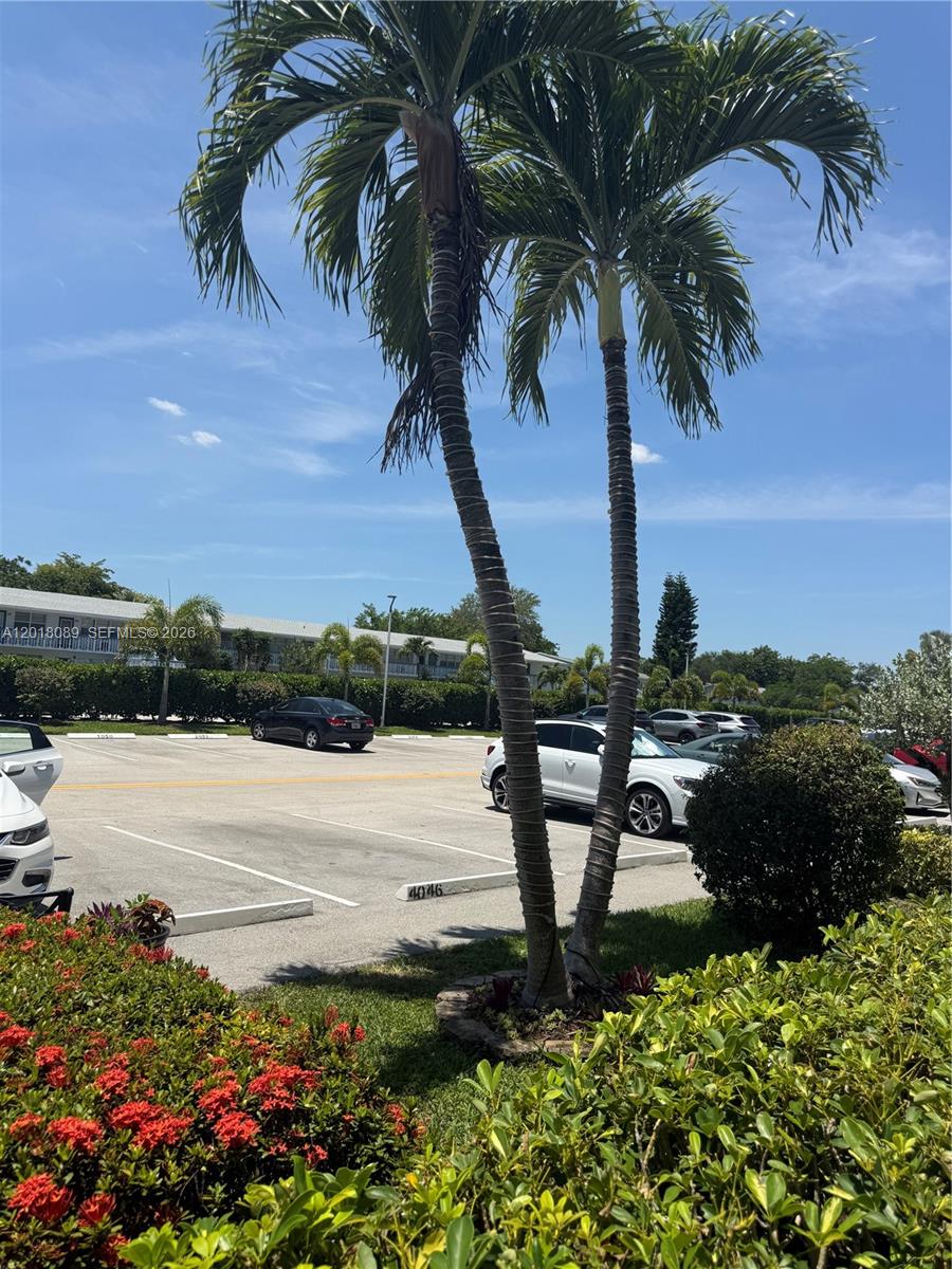 A parking lot with palm trees and several cars under a bright blue sky — 4047 Lyndhurst K # 4047, Deerfield Beach FL 33442, DEERFIELD BEACH, FL