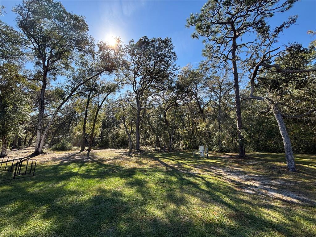 A grassy backyard features mature trees and a small white chair under a sunny sky — 5870 SE 171ST COURT, OCKLAWAHA, FL