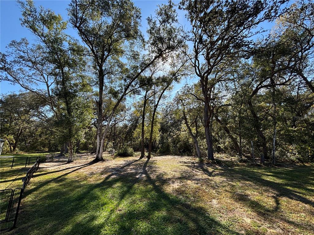 A grassy, sunlit yard features several large trees and a black metal fence — 5870 SE 171ST COURT, OCKLAWAHA, FL