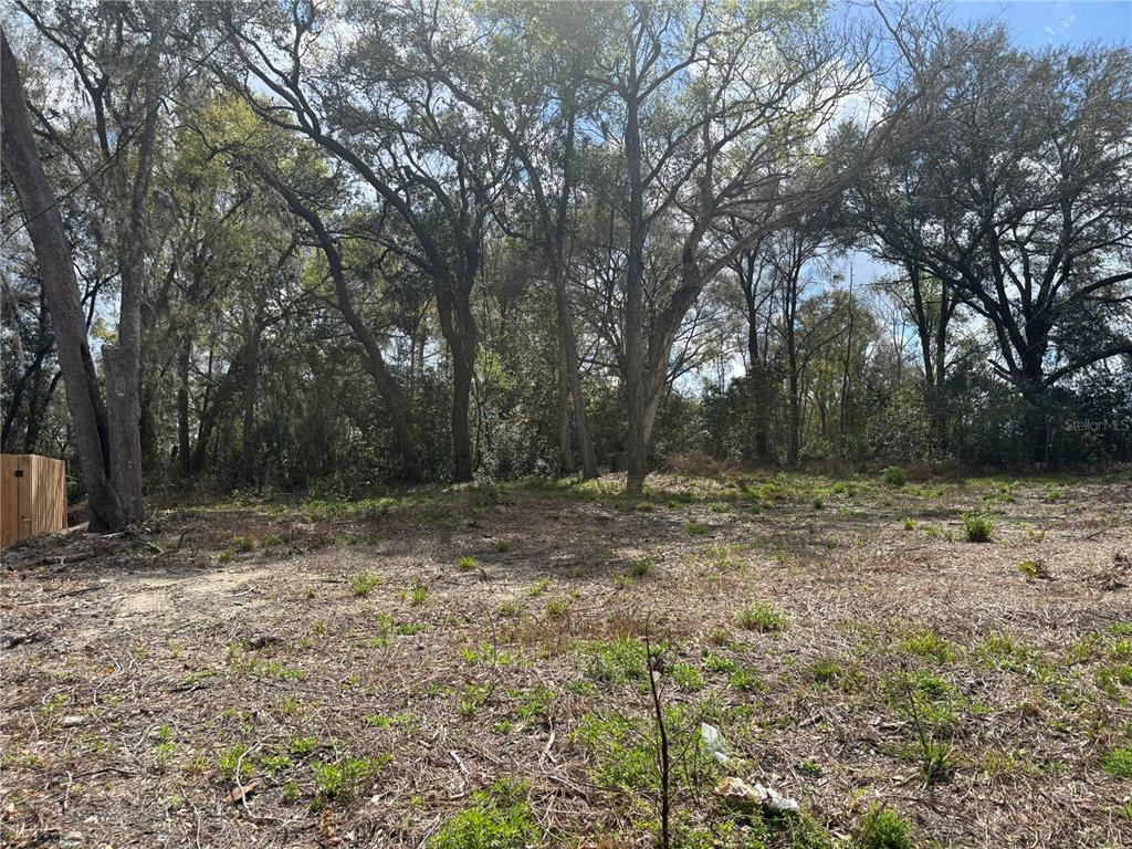 A cleared, grassy lot features mature trees in the background and a wooden fence — 114 E CLEVELAND STREET, APOPKA, FL