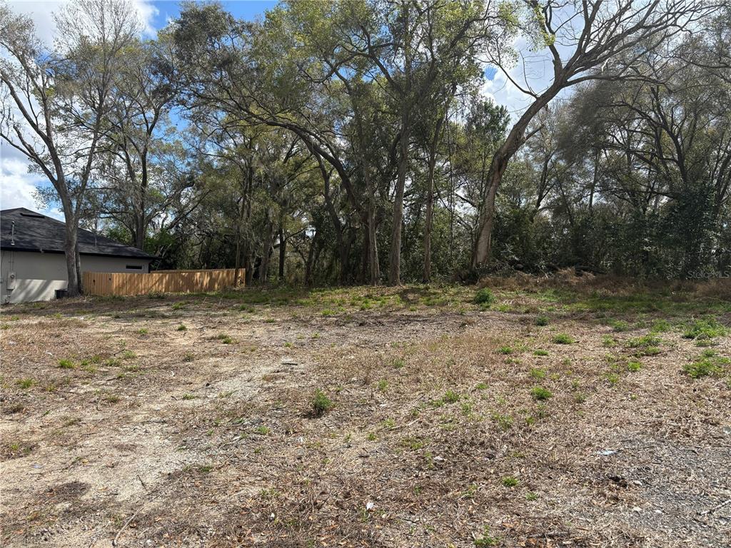 A vacant, cleared residential lot features scattered vegetation and mature trees bordering a wooden fence — 114 E CLEVELAND STREET, APOPKA, FL